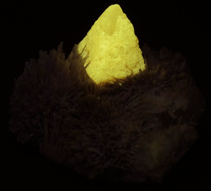 Photo below under shortwave ultraviolet illumination of Powellite on Scolecite from Nashik District, Maharashtra, India Powellite on Scolecite from Nashik District, Maharashtra, India