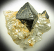 Cassiterite from Horn Slavkov (Schlaggenwald), Okres Sokolov, Karlovarsk kraj, Czech Republic