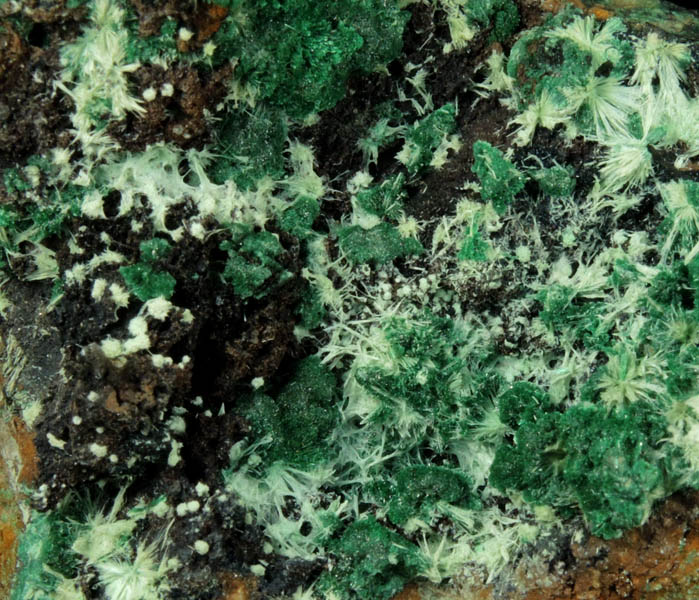 Copper, Malachite, Tenorite from Bisbee, Warren District, Cochise County, Arizona