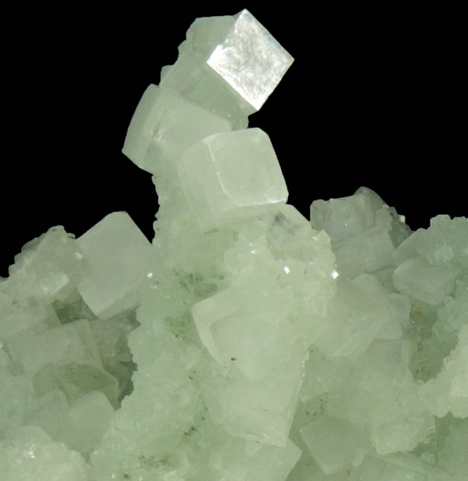 Apophyllite on Prehnite pseudomorphs after Laumontite from Mumbai District, Maharashtra, India