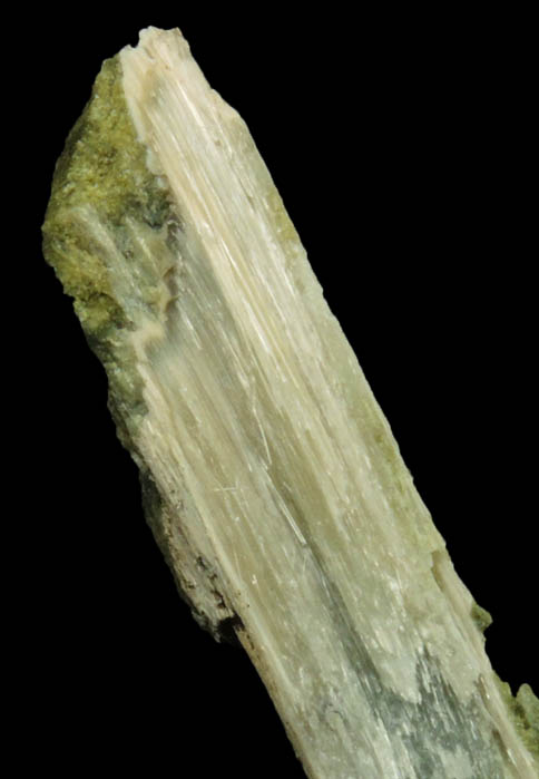 Brucite var. Nemalite from Castle Point (Stevens Bluff), Hoboken, (west shore of Hudson River opposite NYC) Hudson County, New Jersey (Type Locality for Brucite)