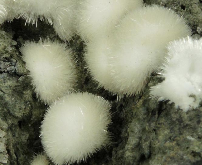 Natrolite from Millington Quarry, Bernards Township, Somerset County, New Jersey