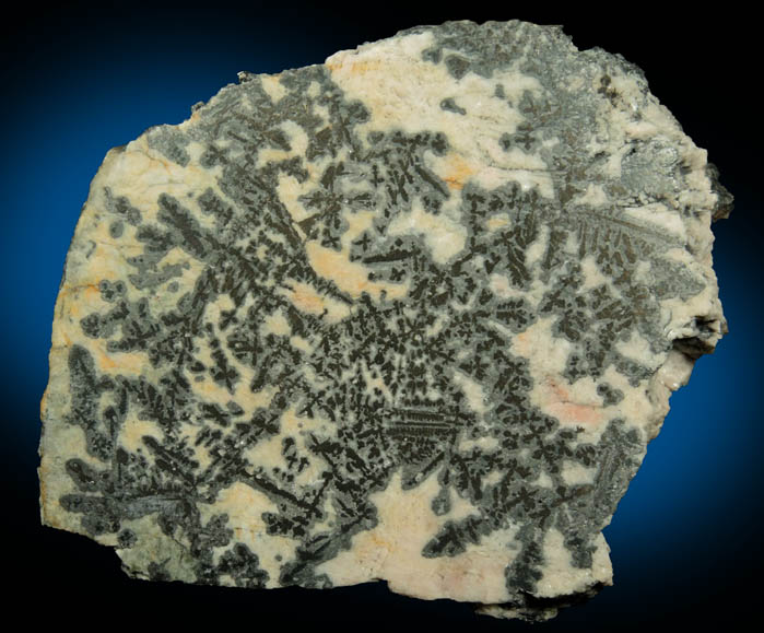 Silver (dendritic native silver) in Calcite from Cobalt District, Ontario, Canada