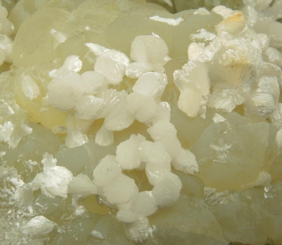 Thomsonite on Prehnite from Upper New Street Quarry, Paterson, Passaic County, New Jersey