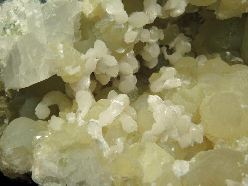 Thomsonite on Prehnite from Upper New Street Quarry, Paterson, Passaic County, New Jersey