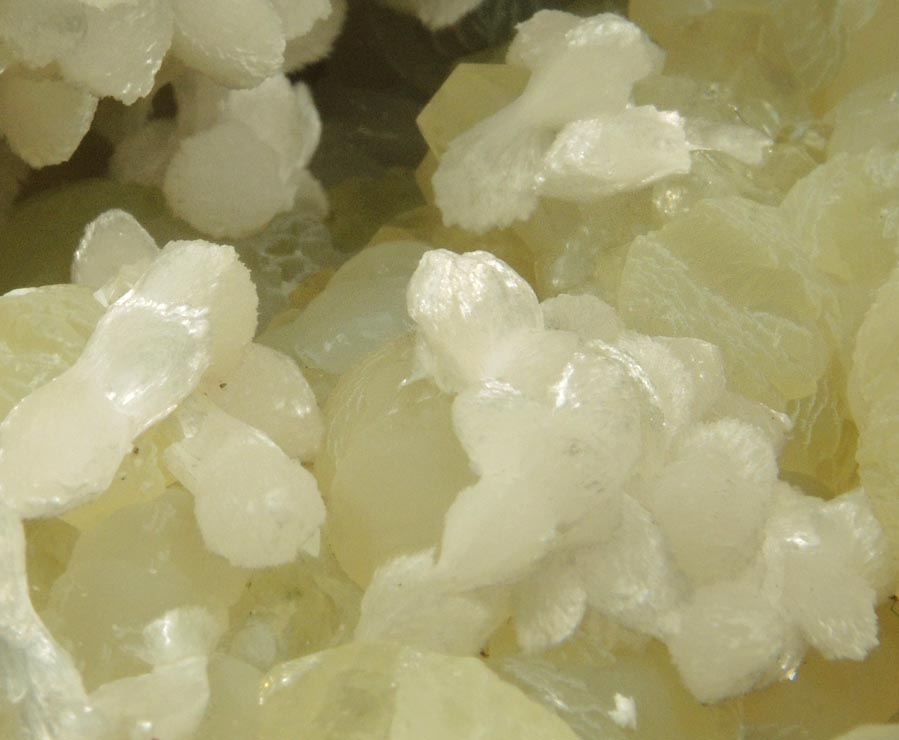 Thomsonite on Prehnite from Upper New Street Quarry, Paterson, Passaic County, New Jersey