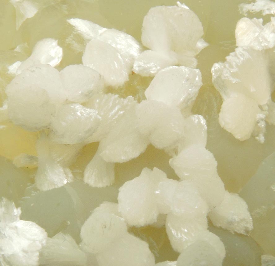 Thomsonite on Prehnite from Upper New Street Quarry, Paterson, Passaic County, New Jersey