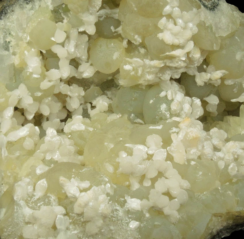 Thomsonite on Prehnite from Upper New Street Quarry, Paterson, Passaic County, New Jersey