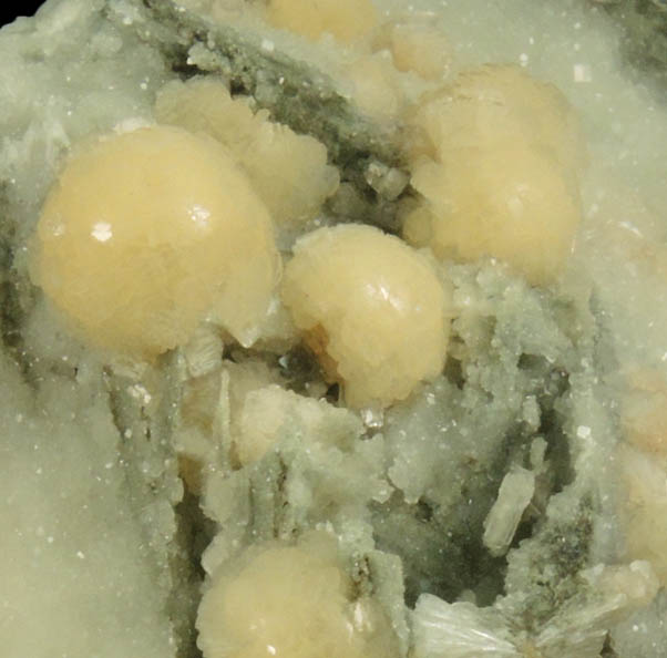 Stilbite and Calcite with pseudomorphic molds after Anhydrite from Millington Quarry, Bernards Township, Somerset County, New Jersey