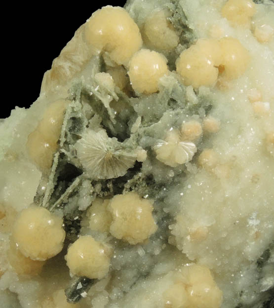 Stilbite and Calcite with pseudomorphic molds after Anhydrite from Millington Quarry, Bernards Township, Somerset County, New Jersey