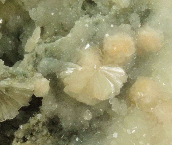 Stilbite and Calcite with pseudomorphic molds after Anhydrite from Millington Quarry, Bernards Township, Somerset County, New Jersey