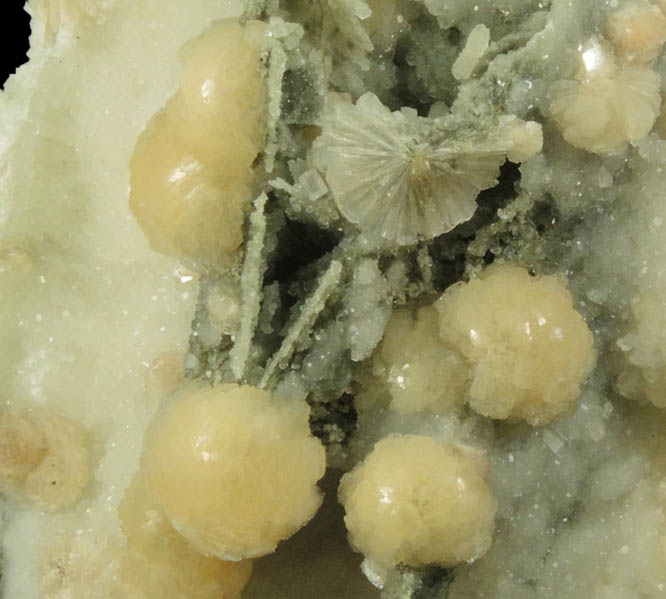 Stilbite and Calcite with pseudomorphic molds after Anhydrite from Millington Quarry, Bernards Township, Somerset County, New Jersey