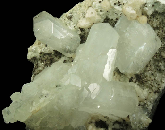 Apophyllite and Datolite from Millington Quarry, Bernards Township, Somerset County, New Jersey