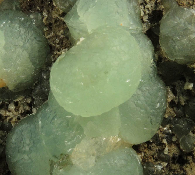 Prehnite with minor Calcite from Upper New Street Quarry, Paterson, Passaic County, New Jersey