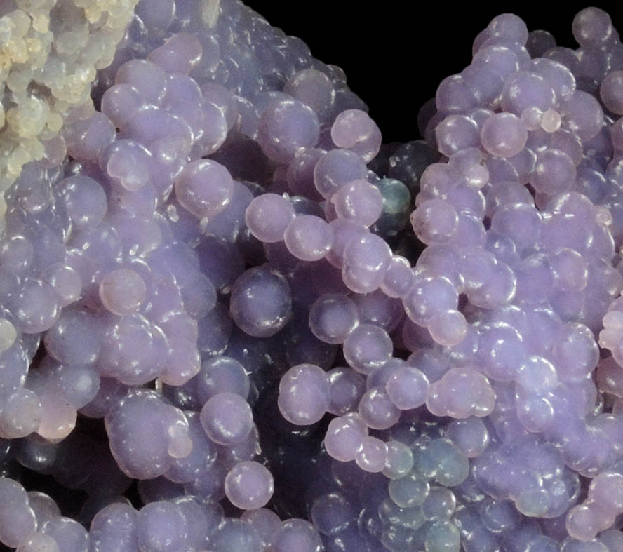 Quartz var. Grape Agate from near Pantai Manakarra, Mamuju, Sulawesi, Indonesia