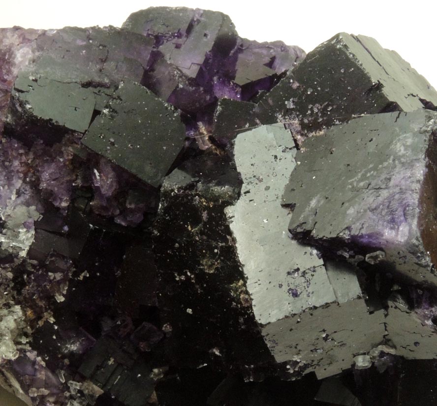 Fluorite from Mina el Tule, Melchor Mzquiz, Coahuila, Mexico