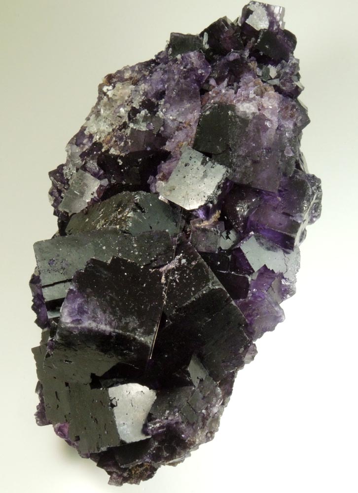 Fluorite from Mina el Tule, Melchor Mzquiz, Coahuila, Mexico