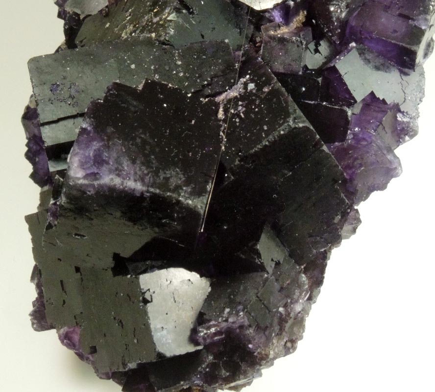 Fluorite from Mina el Tule, Melchor Mzquiz, Coahuila, Mexico