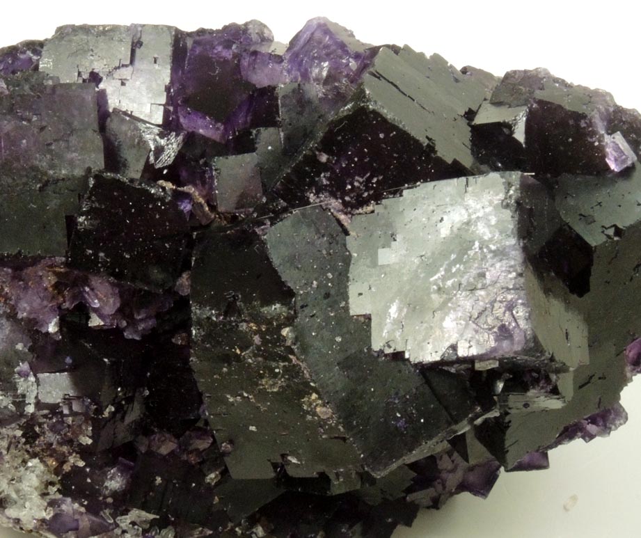 Fluorite from Mina el Tule, Melchor Mzquiz, Coahuila, Mexico