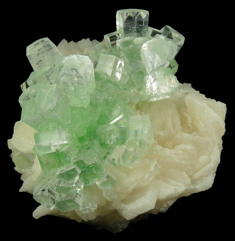 Apophyllite on Stilbite from Momin Akhada, near Rahuri, 50 km north of Ahmednagar, Maharashtra, India