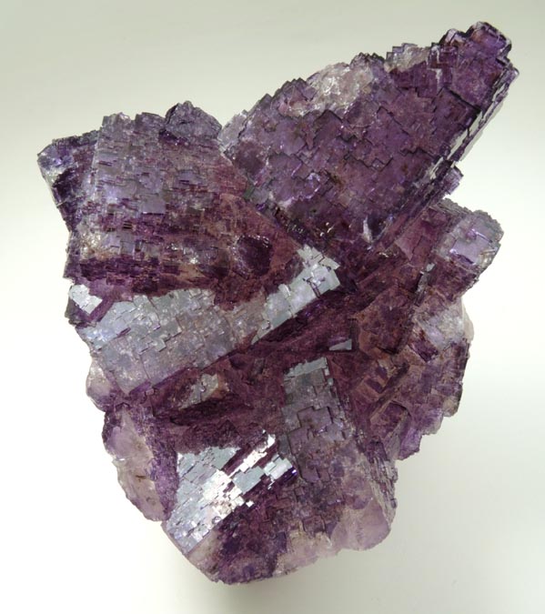 Fluorite from Mina Esperanza, Melchor Múzquiz, Coahuila, Mexico
