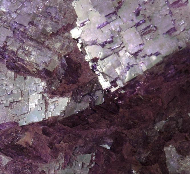 Fluorite from Mina Esperanza, Melchor Mzquiz, Coahuila, Mexico