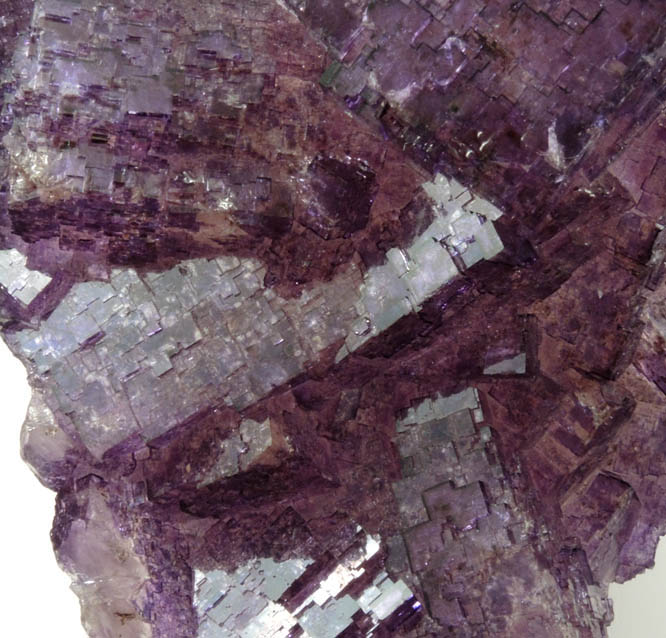 Fluorite from Mina Esperanza, Melchor Mzquiz, Coahuila, Mexico