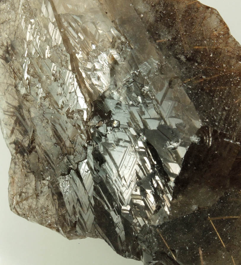 Quartz var. Smoky Quartz with Rutile inclusions and minor Hematite from Novo Horizonte, Bahia, Brazil