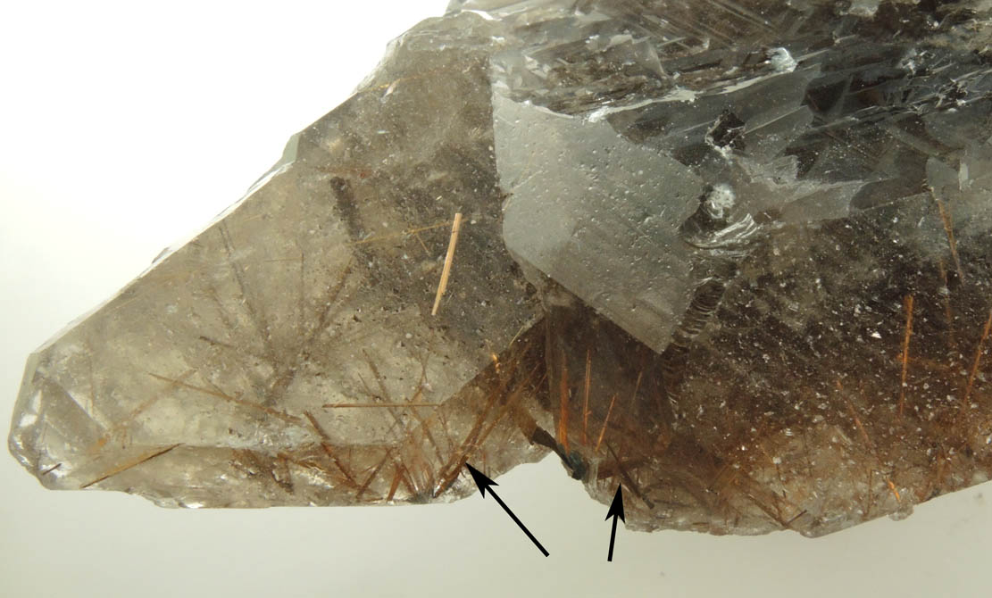 Quartz var. Smoky Quartz with Rutile inclusions and minor Hematite from Novo Horizonte, Bahia, Brazil