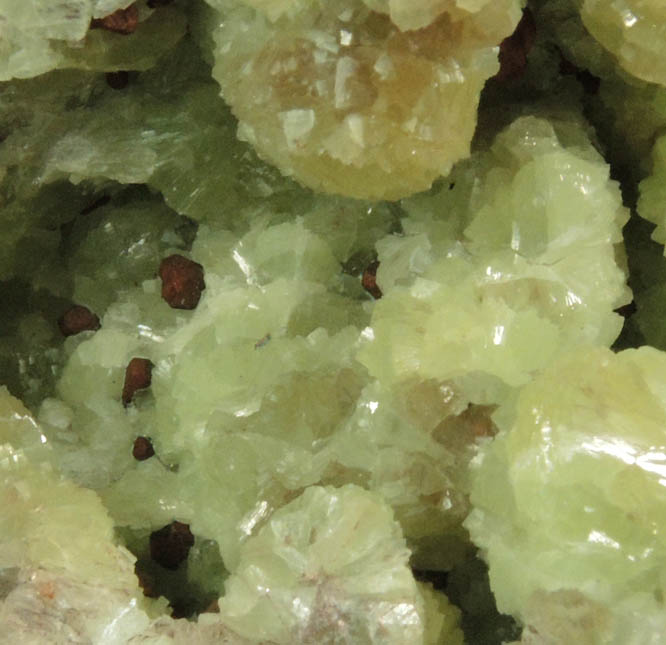 Copper on Prehnite from Iroquois Mine, 3.5 km northeast of Ahmeek, Keweenaw County, Michigan