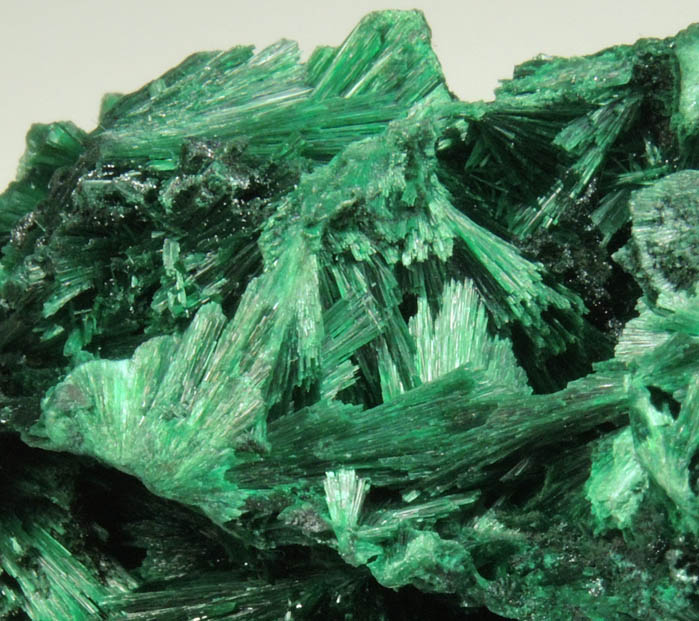 Malachite (fibrous) from Kolwezi Mining District, 240 km WNW of  Lubumbashi, Katanga Copperbelt, Lualaba Province, Democratic Republic of the Congo