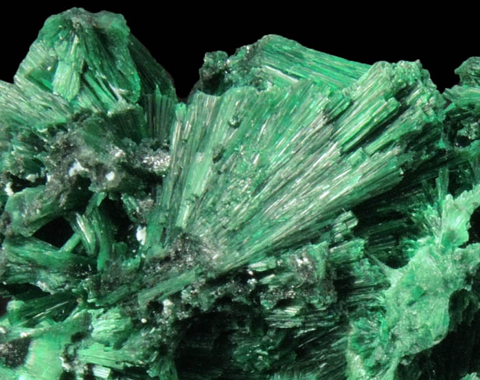 Malachite (fibrous) from Kolwezi Mining District, 240 km WNW of  Lubumbashi, Katanga Copperbelt, Lualaba Province, Democratic Republic of the Congo