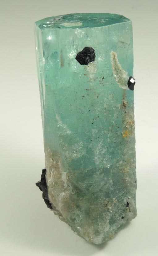 Beryl var. Aquamarine with Schorl Tourmaline from Erongo Mountains, 20 km north of Usakos, Damaraland, Namibia