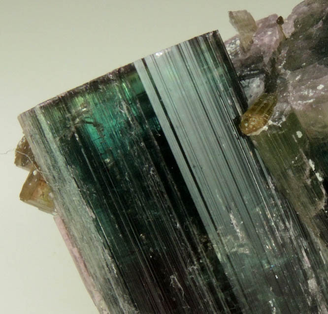 Elbaite Tourmaline from Santa Rosa Mine, Itambacuri, Minas Gerais, Brazil