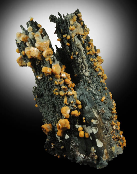 Vanadinite on Fe-Mn-oxides from Taouz, Er Rachidia, Meknes-Tafilalet, Morocco