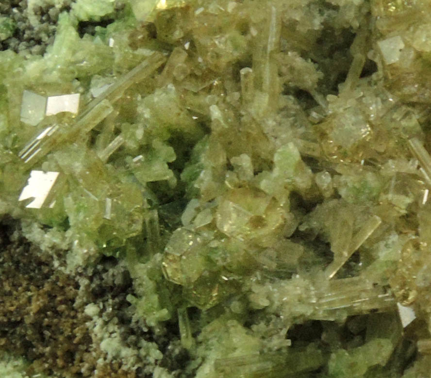 Grossular Garnet (chrome-rich) with Diopside and Clinochlore from Jeffrey Mine, Asbestos, Qubec, Canada