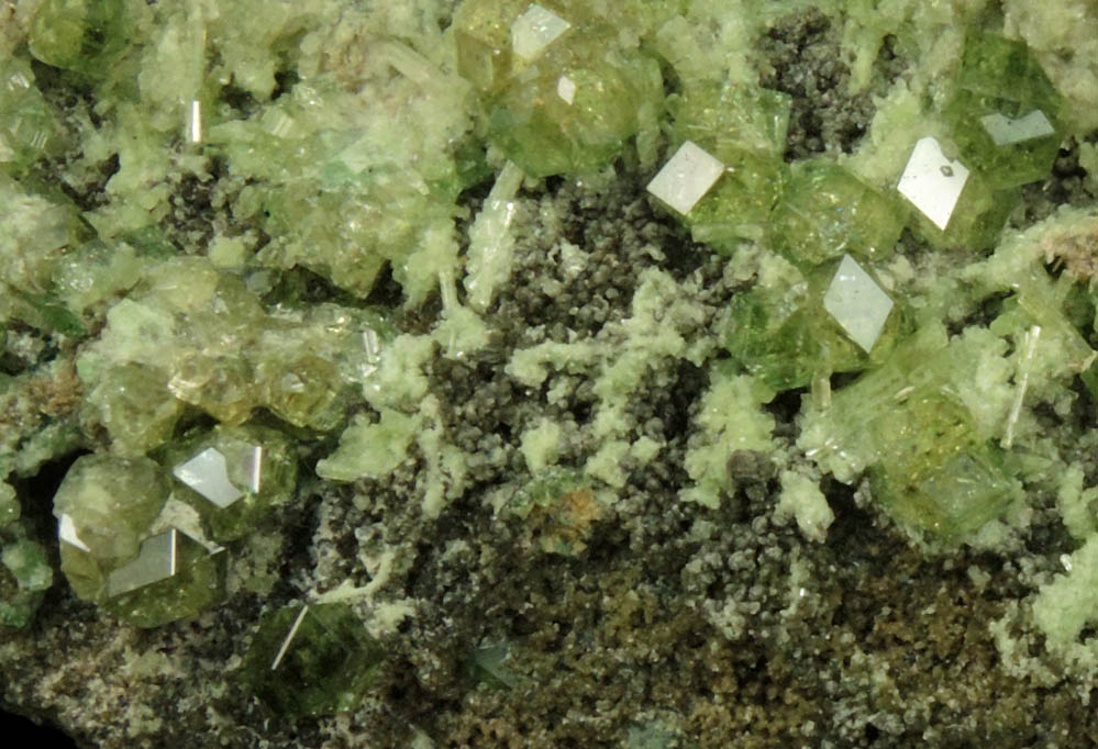 Grossular Garnet (chrome-rich) with Diopside and Clinochlore from Jeffrey Mine, Asbestos, Qubec, Canada