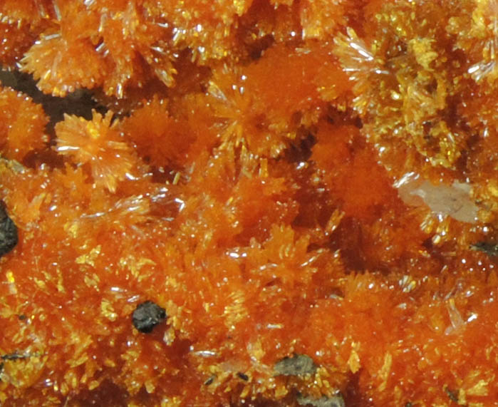 Orpiment on Barite from Quiruvilca District, Santiago de Chuco Province, La Libertad Department, Peru