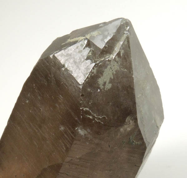 Quartz var. Smoky Quartz from Sawtooth Mountains, Custer County, Idaho