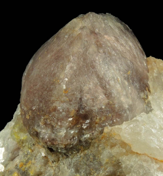 Lepidolite var. Ball Lepidolite on Quartz from Brown Derby Mine, Quartz Creek District, 12.3 km SW of Pitkin, Gunnison County, Colorado