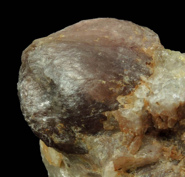 Lepidolite var. Ball Lepidolite on Quartz from Brown Derby Mine, Quartz Creek District, 12.3 km SW of Pitkin, Gunnison County, Colorado