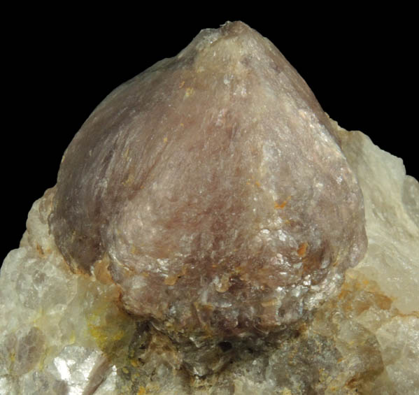 Lepidolite var. Ball Lepidolite on Quartz from Brown Derby Mine, Quartz Creek District, 12.3 km SW of Pitkin, Gunnison County, Colorado