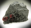 Almandine Garnet in Phyllite from Red Embers Mine, Erving, Franklin County, Massachusetts