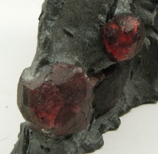 Almandine Garnet in Phyllite from Red Embers Mine, Erving, Franklin County, Massachusetts