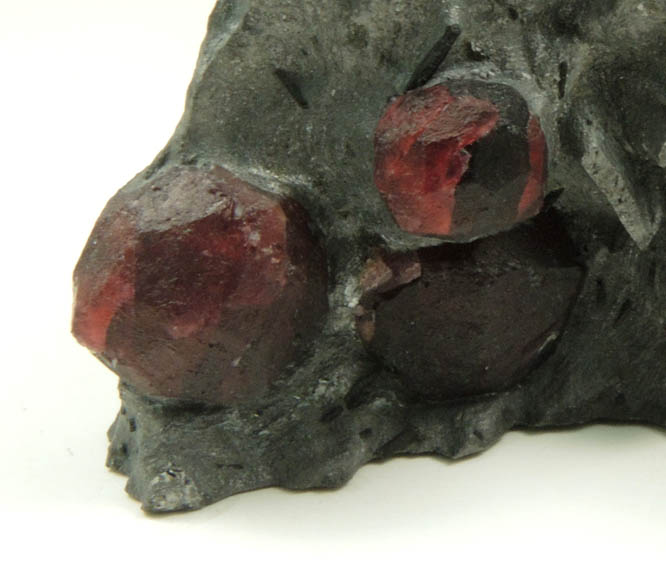 Almandine Garnet in Phyllite from Red Embers Mine, Erving, Franklin County, Massachusetts