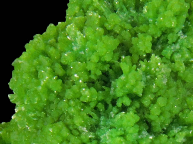 Pyromorphite from Gute Hoffnung Mine, south of Bleibuir, Eifel Mountains, Nordrhein-Westfalen, Germany