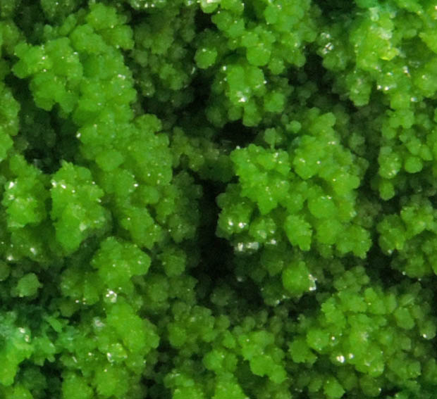 Pyromorphite from Gute Hoffnung Mine, south of Bleibuir, Eifel Mountains, Nordrhein-Westfalen, Germany