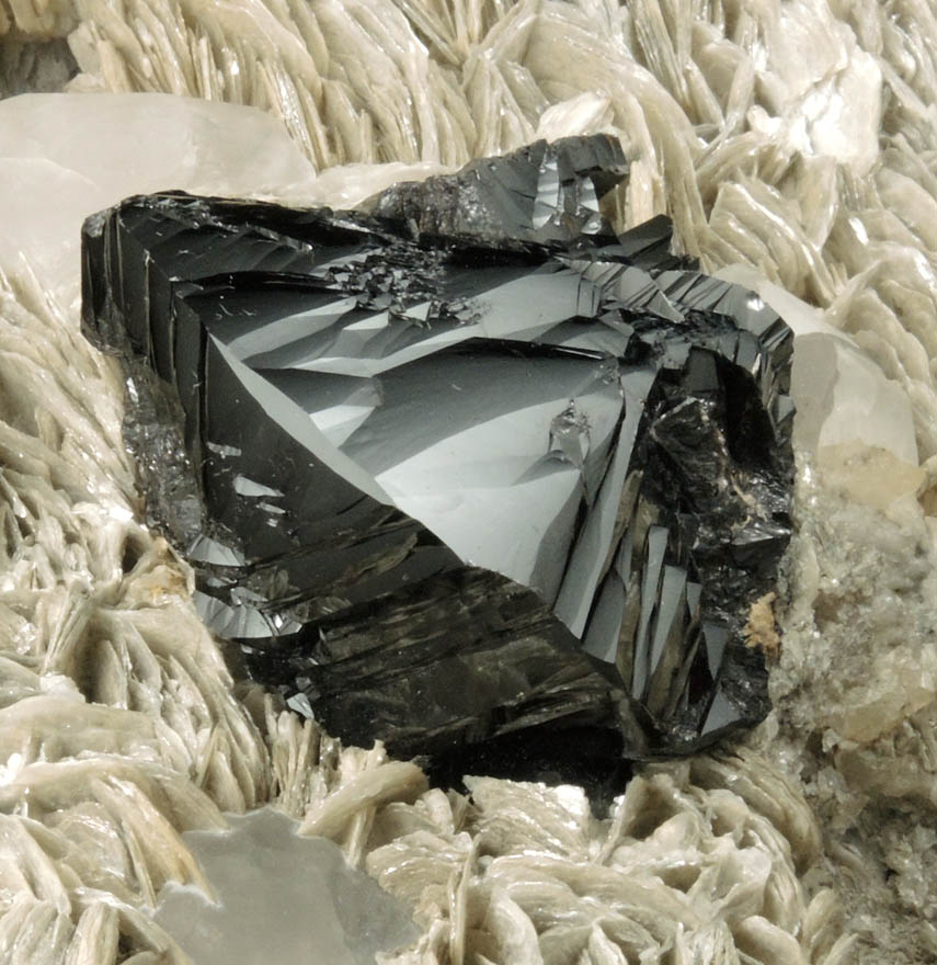 Cassiterite on Muscovite with Beryl from Xuebaoding Mountain near Pingwu, Sichuan Province, China