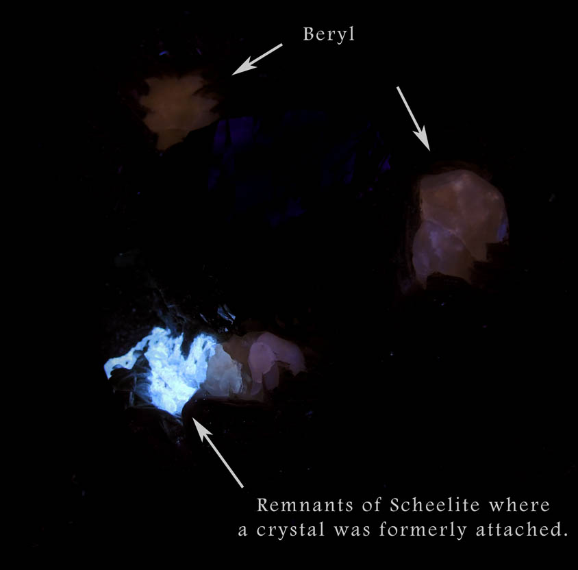 Cassiterite on Muscovite with Beryl from Xuebaoding Mountain near Pingwu, Sichuan Province, China