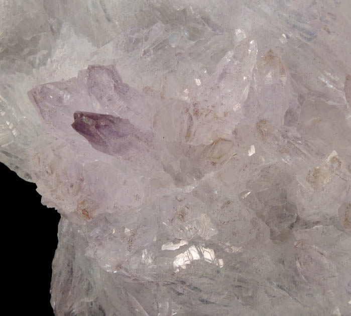 Quartz var. Amethyst Flower from Alto Uruguai, Rio Grande do Sul, Brazil